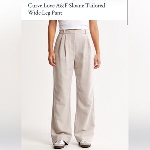 Abercrombie Curve Love Sloane Tailored Wide Leg Pant | Size 30/10R